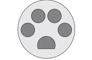 Questão 146 - Enem PPL 2020 - Para identificar visualmente uma loja de pet shop,Escala,logomarcas,ENEM Questão 146 - Enem PPL 2020 - Para identificar visualmente uma loja de pet shop,Escala,logomarcas,ENEM
