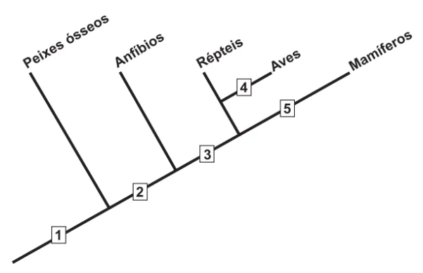 Questão 048 - ENEM PPL 2015 - Questão 048 - ENEM PPL 2015 -