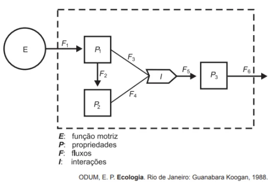 Questão 056 - ENEM 2012 - Questão 056 - ENEM 2012 -