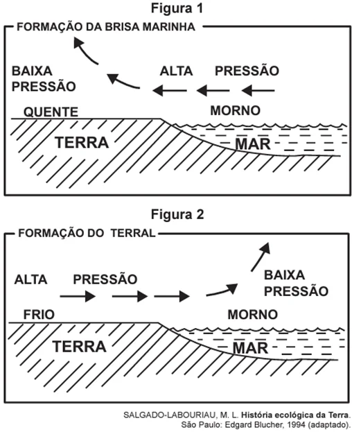 Questão 077 – ENEM 2017 -